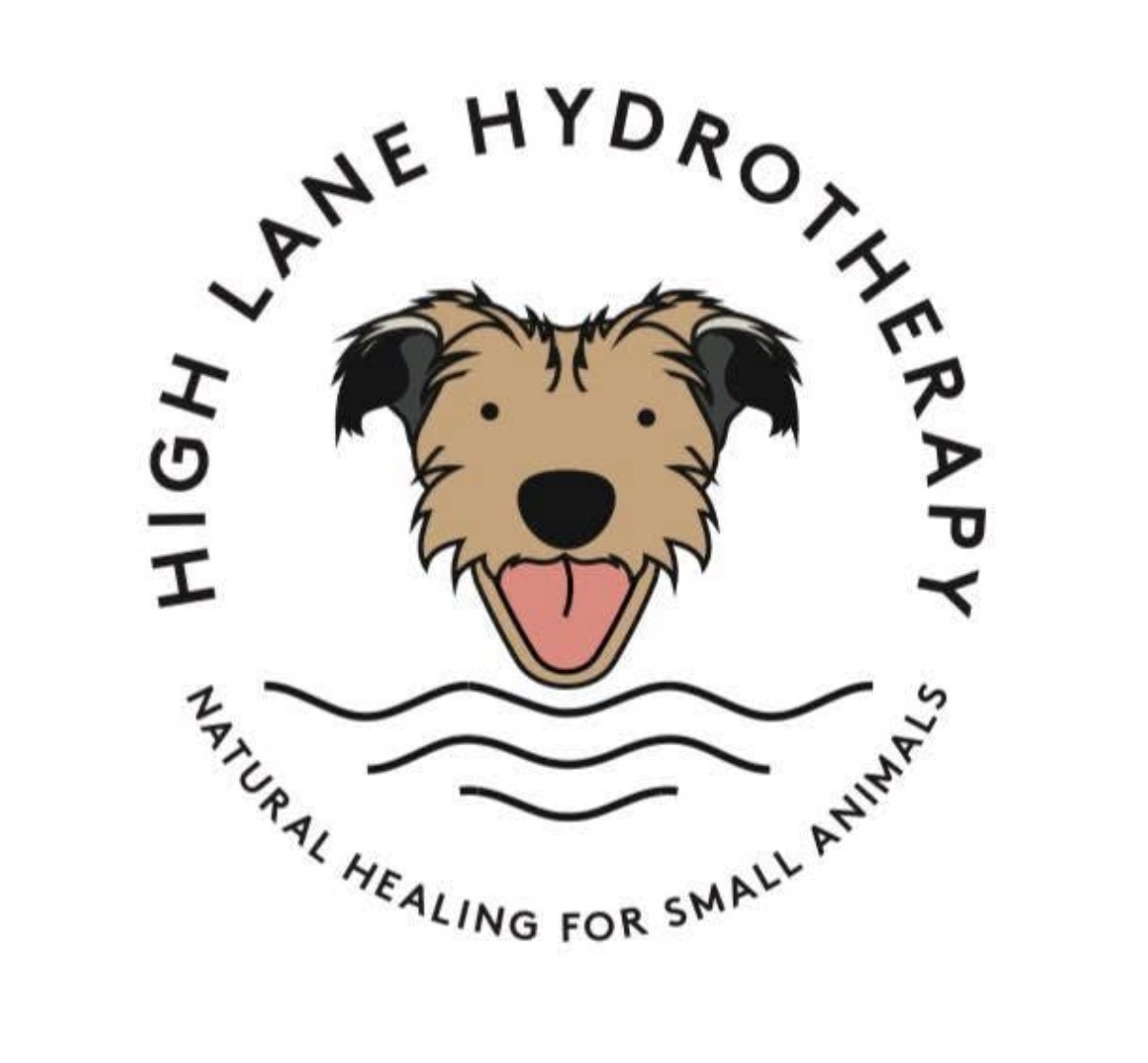 High Lane Hydrotherapy Ltd - Canine Services logo
